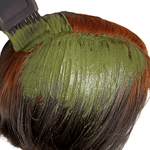 ELLORA - BLACKISH BROWN SHADE (1 POT METHOD) 200g