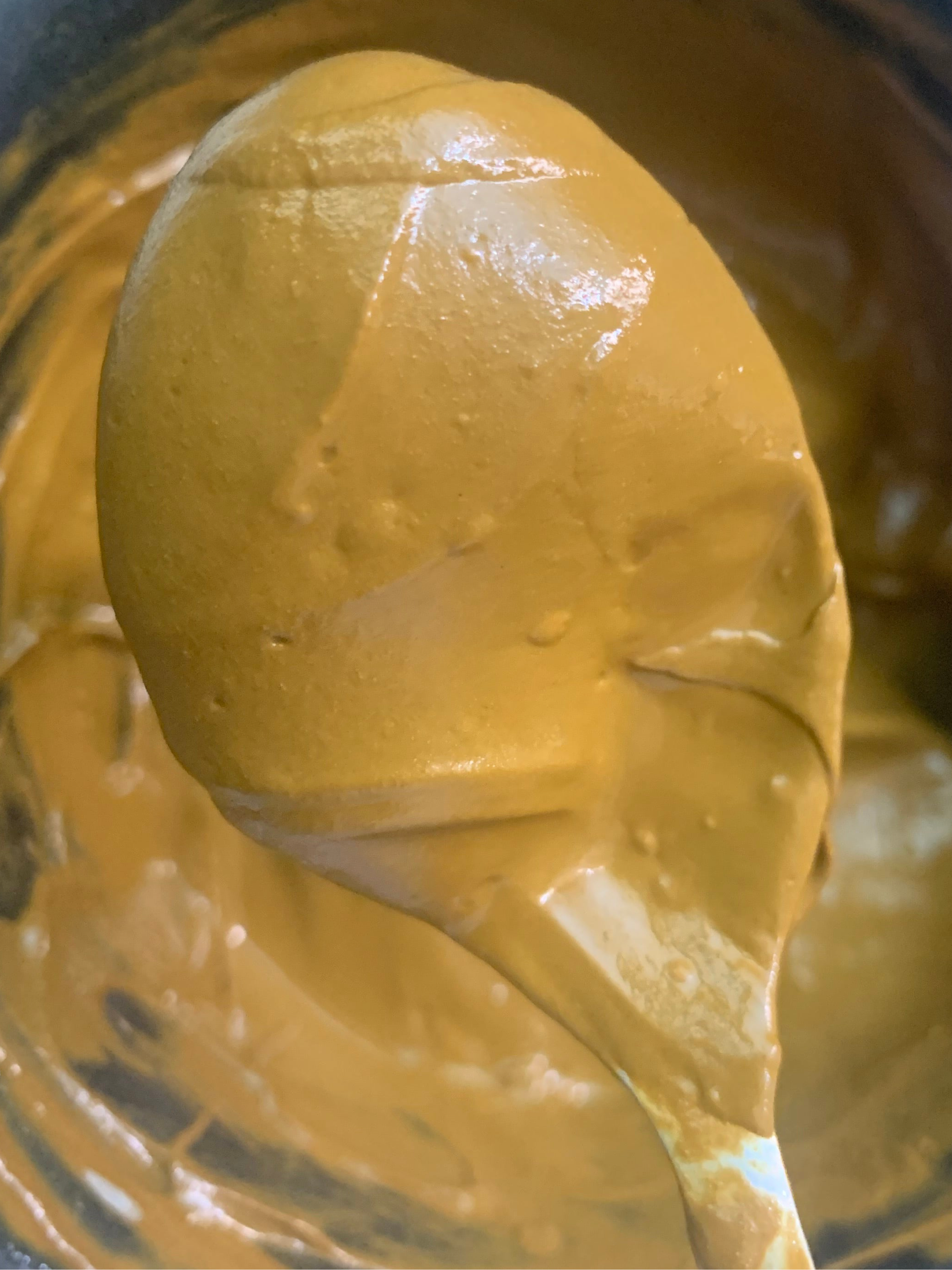 SVA NOOR HENNA POWDER 100g