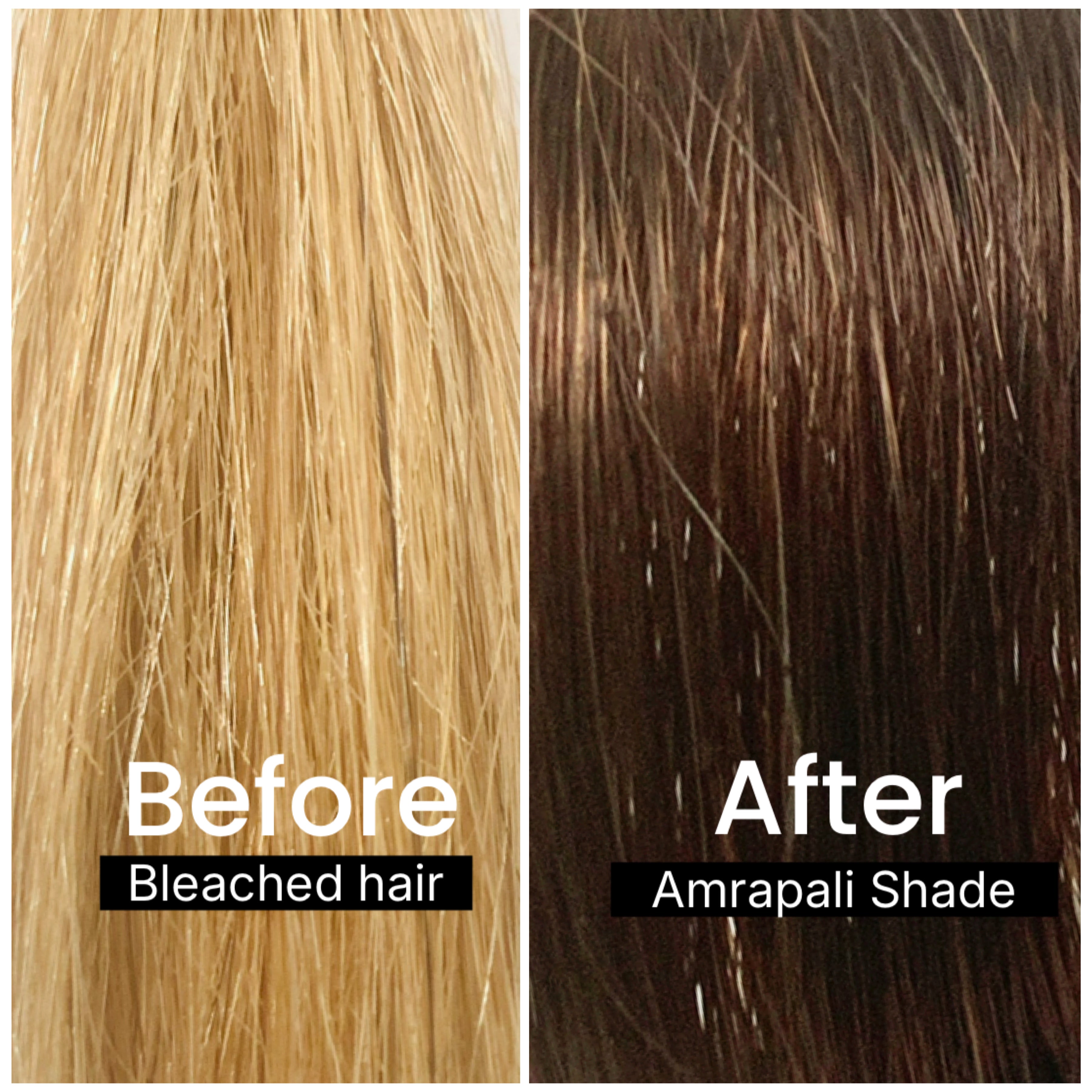 COMBO PACK: AMRAPALI FULL KIT (150G) + AMRAPALI ROOT TOUCH KIT (75G)