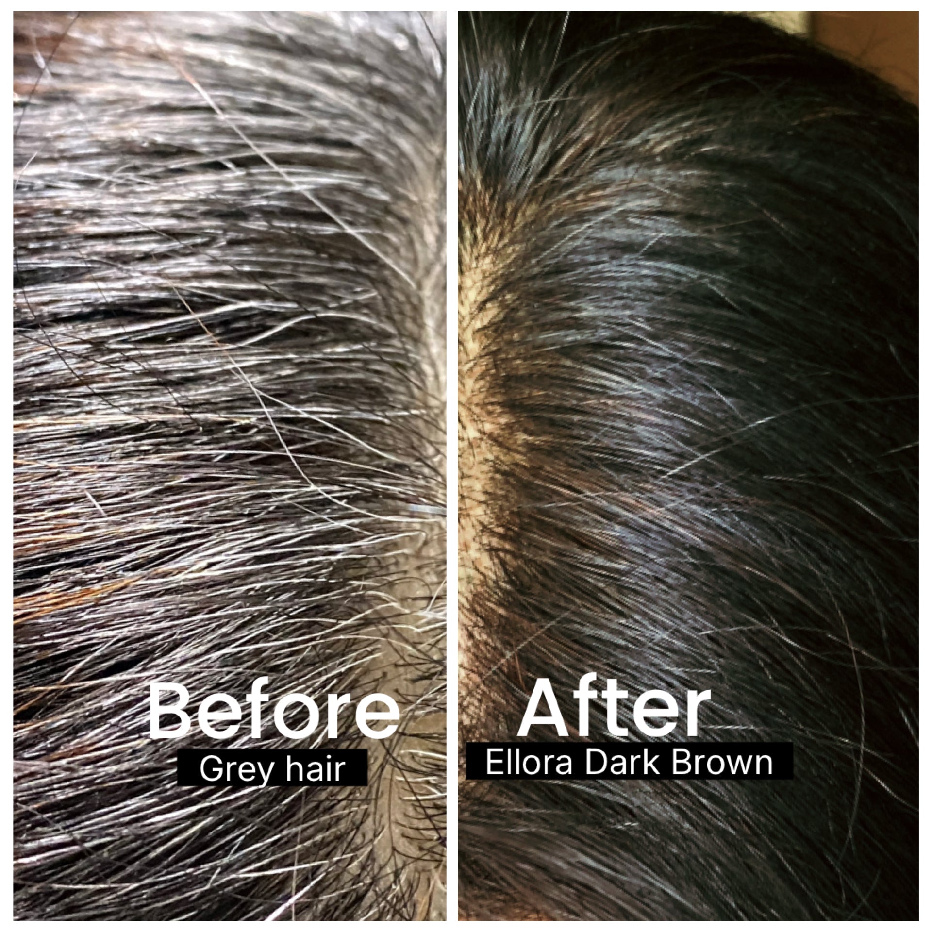 COMBO PACK: 2X ELLORA ROOT TOUCH KIT (135G)