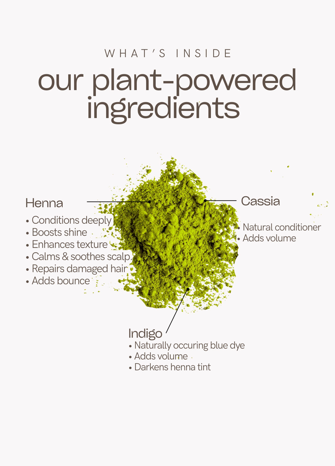 COMBO PACK: RAATRANI FULL KIT (200G) + RAATRANI ROOT TOUCH KIT (100G)