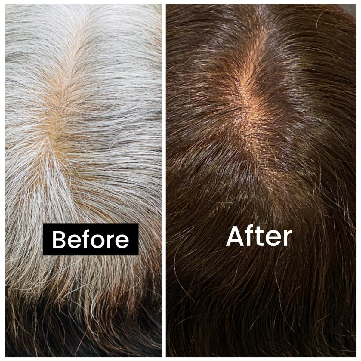 Before and after henna indigo hair dye results — full grey coverage with SVA plant-based 2-step hair colour