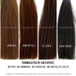 ELLORA - BLACKISH BROWN SHADE (1 POT METHOD) 200g