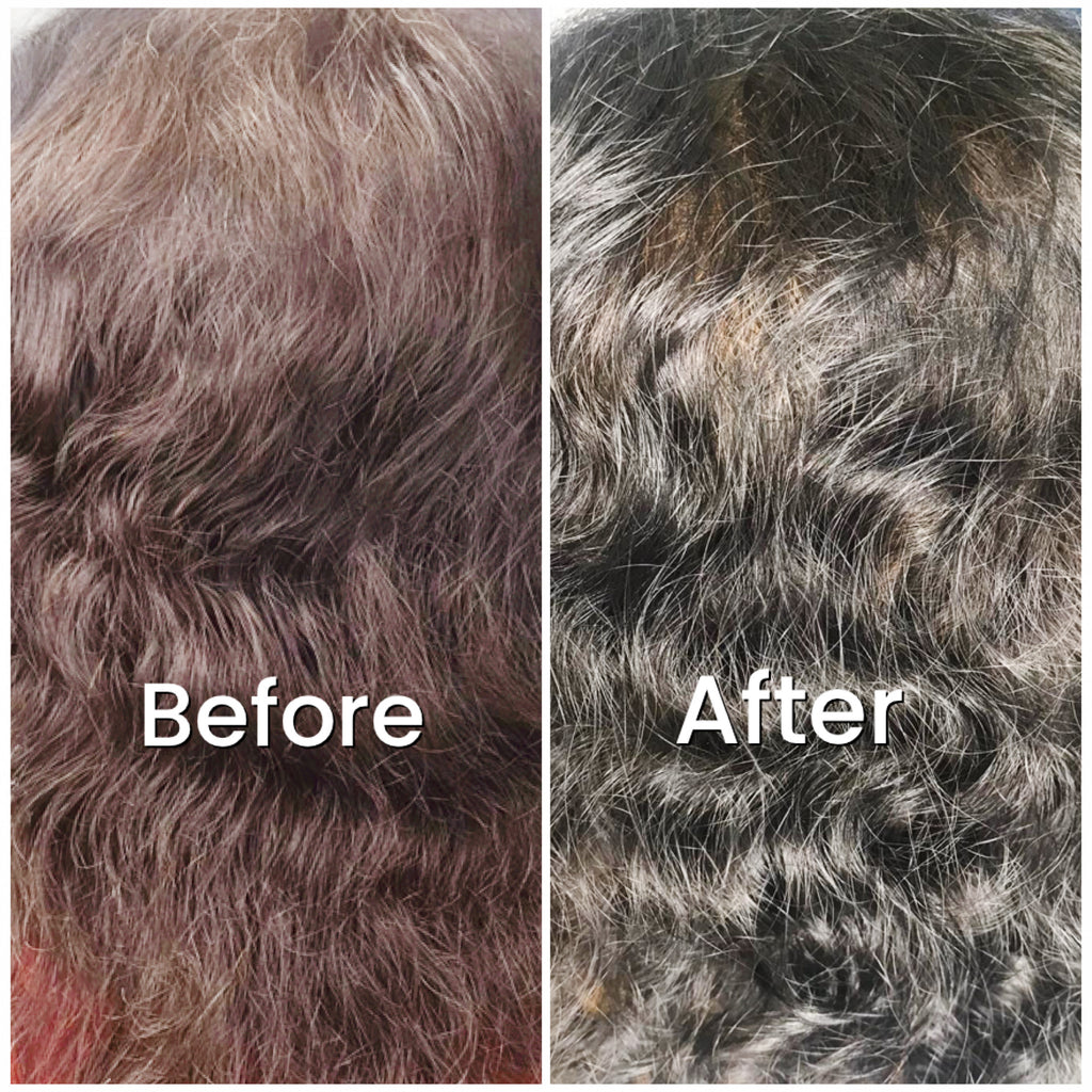 4 WEEK HAIR UPGRADE COMBO (Noor Henna + Plant Toner)