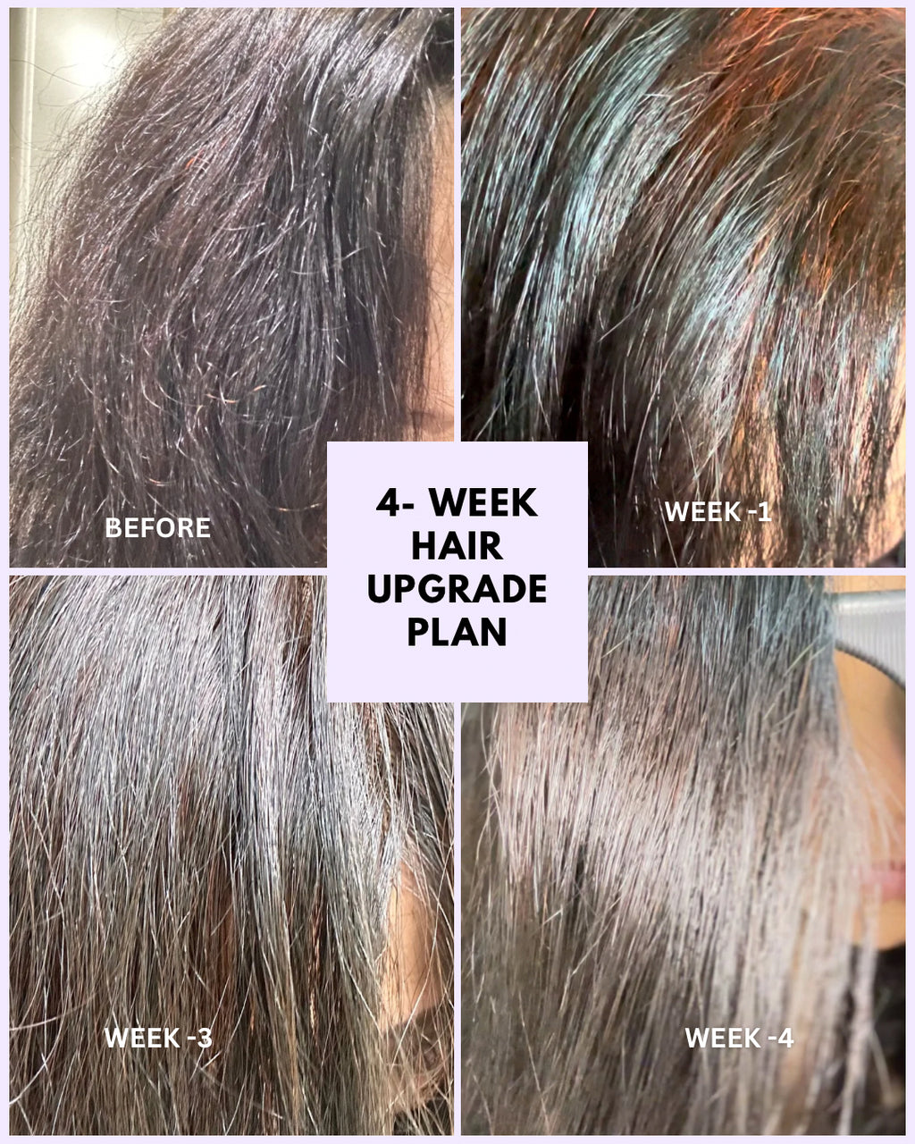 4 WEEK HAIR UPGRADE COMBO (Noor Henna + Plant Toner)