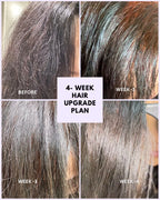4 WEEK HAIR UPGRADE COMBO (Noor Henna + Plant Toner)