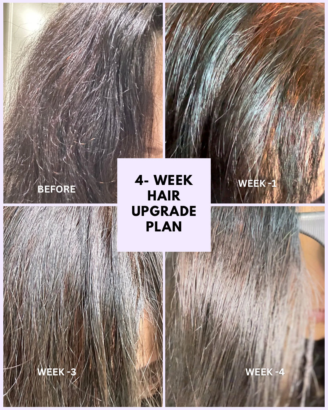 4 WEEK HAIR UPGRADE COMBO (Noor Henna + Plant Toner)