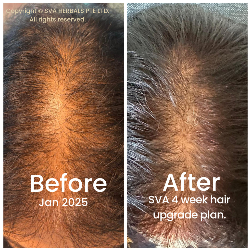 SVA NOOR HENNA POWDER 100g