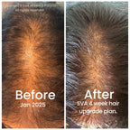 SVA NOOR HENNA POWDER 100g