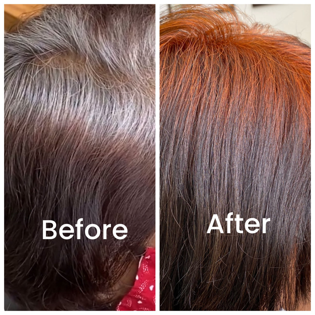 SVA NOOR HENNA POWDER 100g