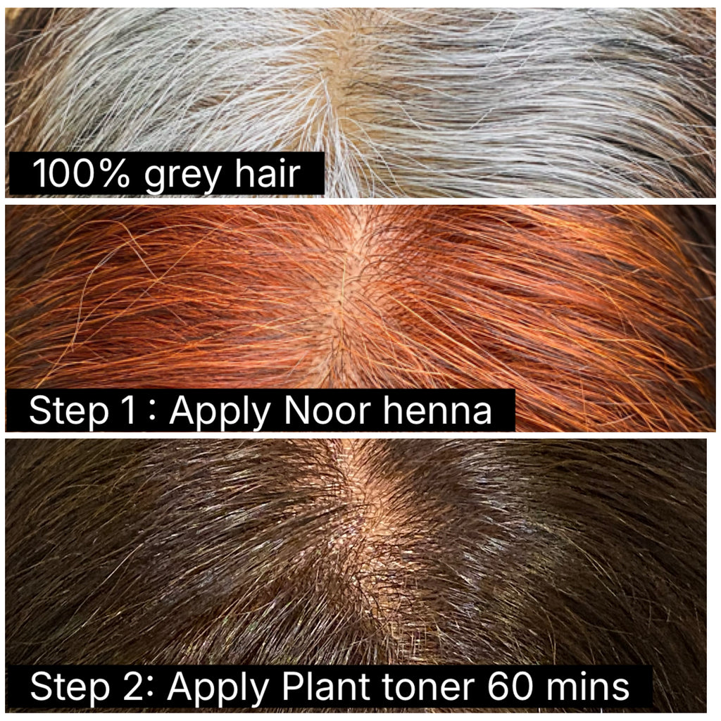 COMBO PACK: NOOR HENNA + PLANT TONER ( 2-STEP PROCESS DARK BROWN SHADE)