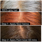 COMBO PACK: NOOR HENNA + PLANT TONER ( 2-STEP PROCESS DARK BROWN SHADE)