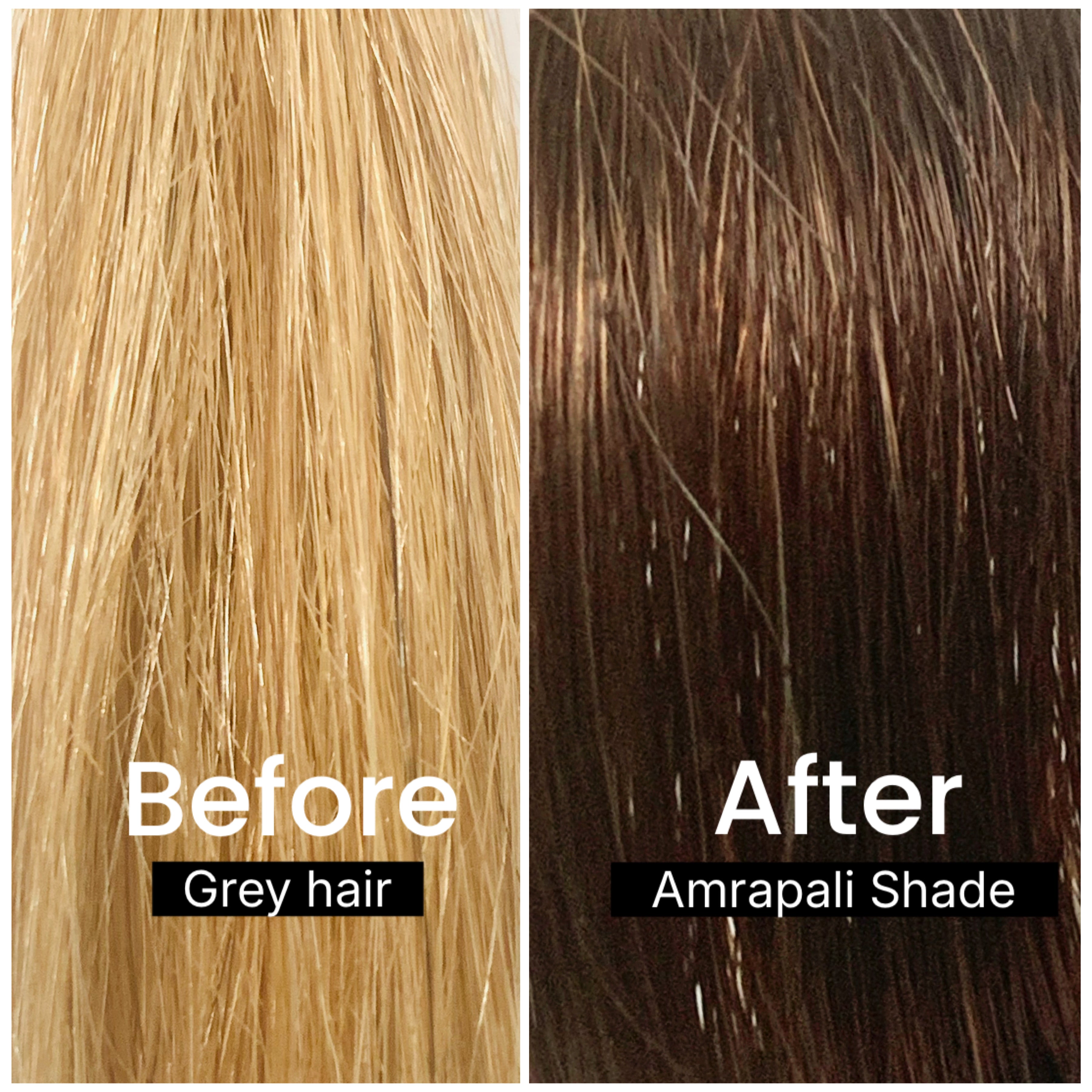 COMBO PACK: AMRAPALI FULL KIT (150G) + AMRAPALI ROOT TOUCH KIT (75G)