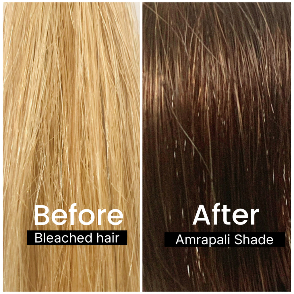 AMRAPALI ROOT TOUCH-UP KIT (75g)