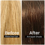 AMRAPALI ROOT TOUCH-UP KIT (75g)