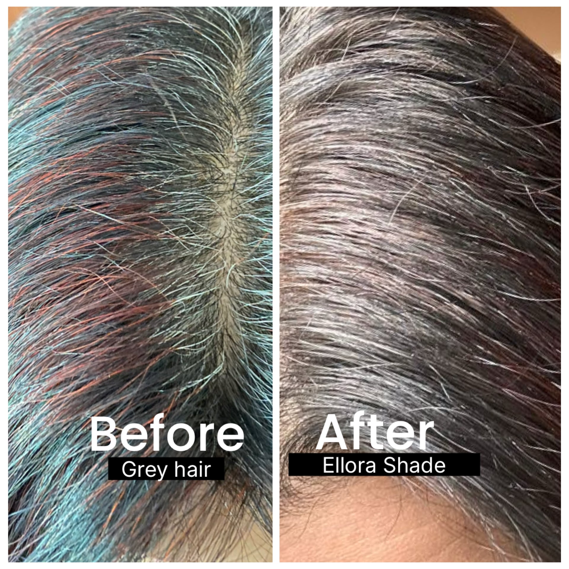 COMBO PACK: 2X ELLORA ROOT TOUCH KIT (135G)