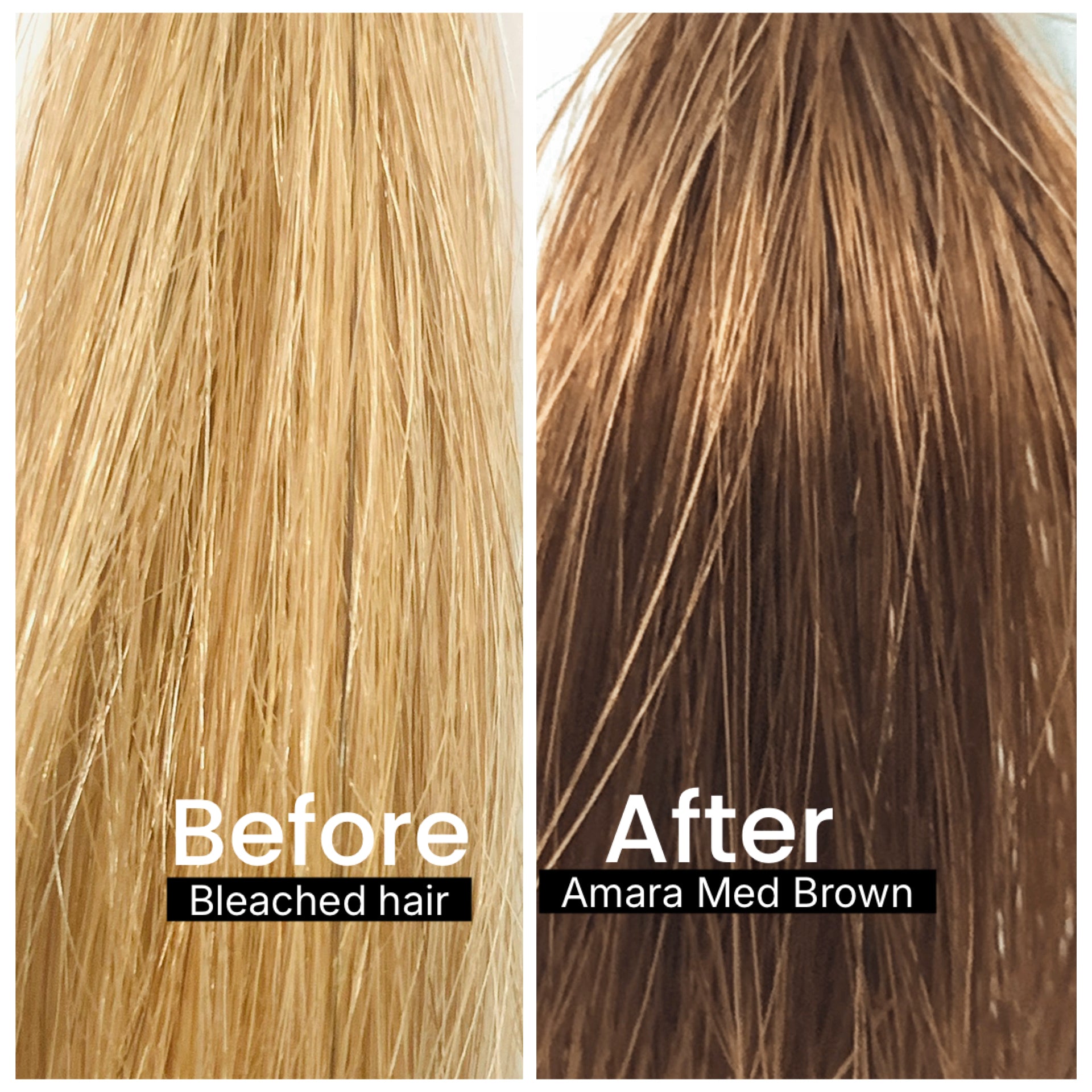 AMARA - ROOT TOUCH-UP KIT (100g)