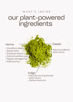 AMARA - ROOT TOUCH-UP KIT (100g)